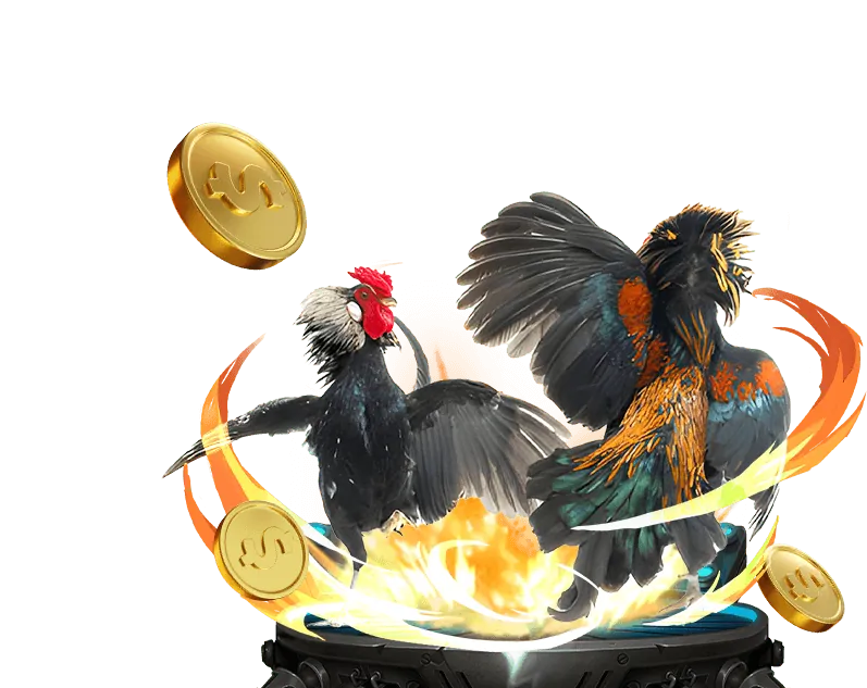 Các tính năng nổi bật của nền tảng đá gà sun20